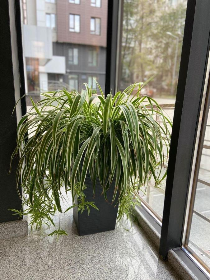 Sky House Central Apartment 키시나우 외부 사진